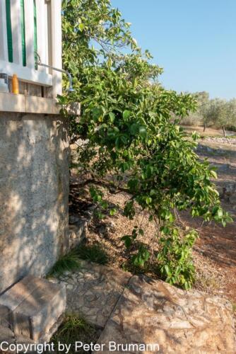 37  512RX100M3-08058