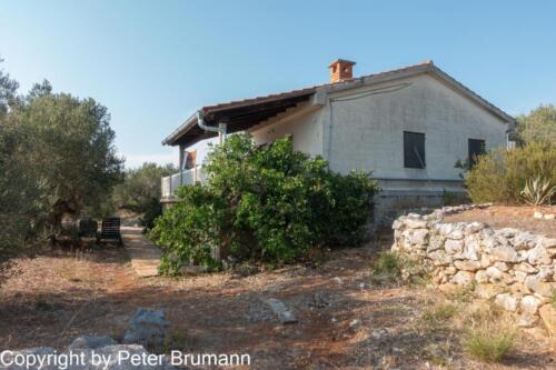 38  512RX100M3-08061