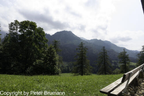 101 512RX100M3-08492