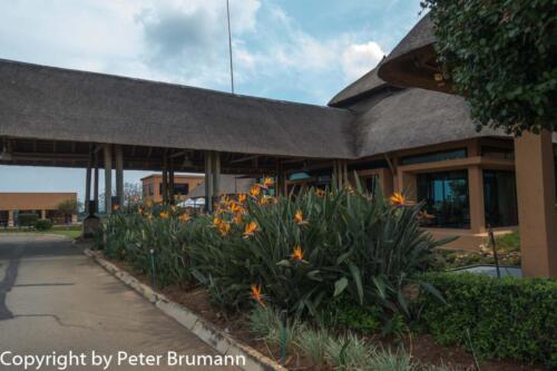 102 504RX100M3PBR-02455