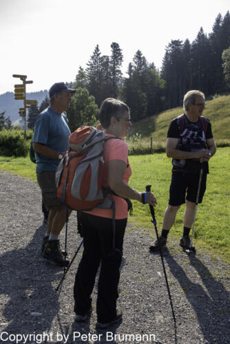 109 392RX100M3-01717