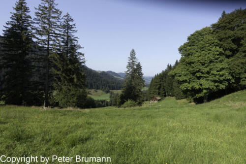 110 392RX100M3-01720