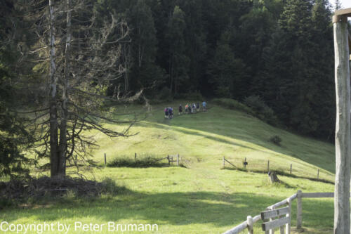 111 392RX100M3-01721