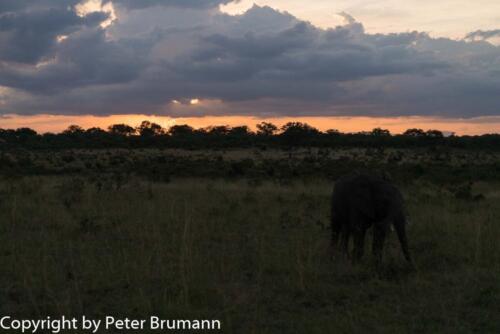 111 601A-A99M3-PBR00144