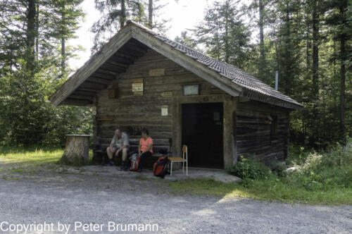 113 392RX100M3-01731