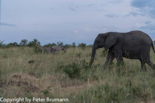 113 601A-A99M3-PBR00162