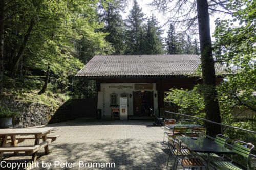 114 392RX100M3-01735