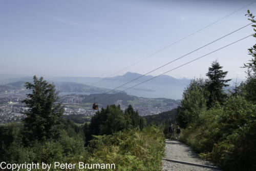 115 392RX100M3-01741