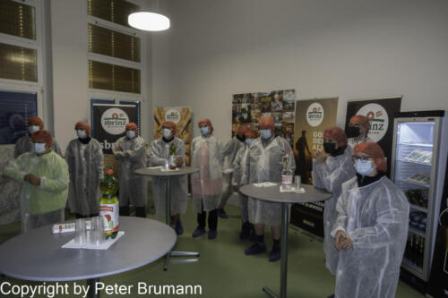 119 513RX100M3-08554