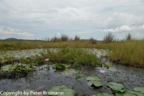 120 510RX100M3-06589