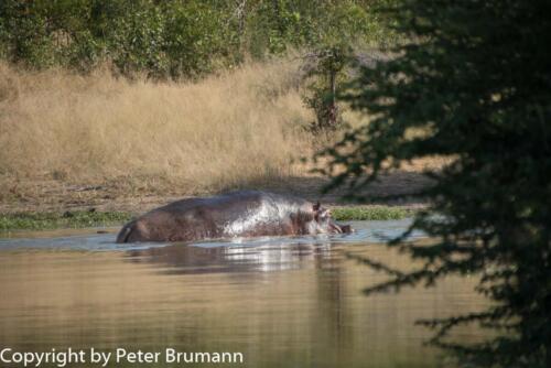 129 602A-A99M3-PBR00379