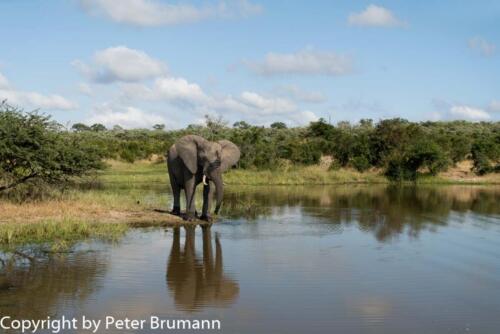 130 602A-A99M3-PBR00389