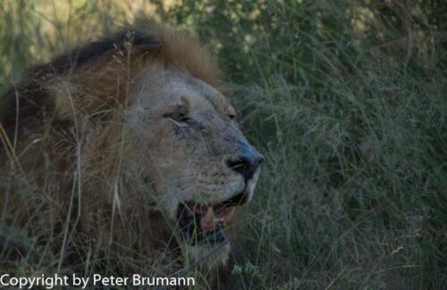 144 602A-A99M3-PBR00554