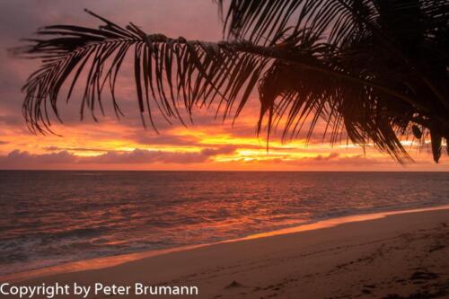 198 511RX100M3-07367