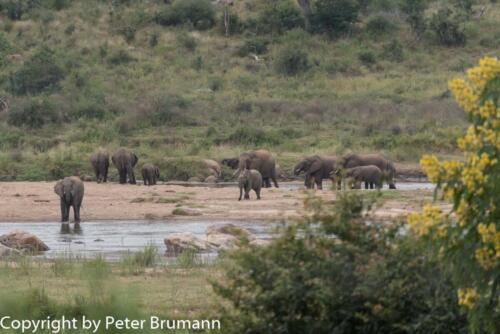 198 604A-A99M2-PBR01503