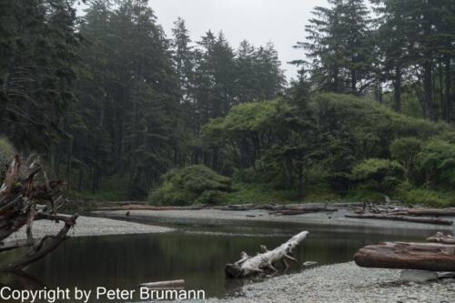 338 501PBRRX100M3-00559