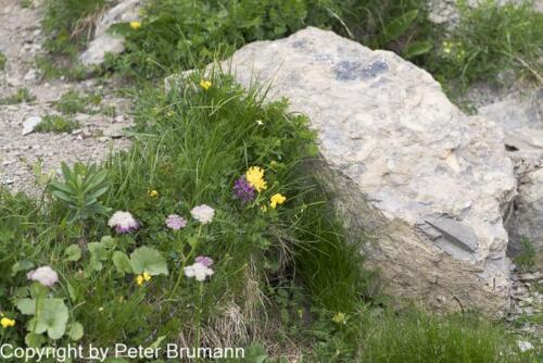 001-605aA99M2-9901718