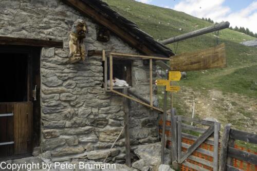 001 512RX100M3-08477