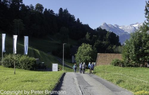 002-513RX100M3-08848