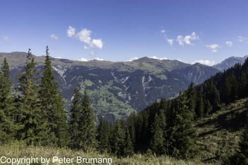 005-393RX100M3-02749