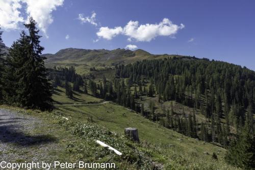 008-393RX100M3-02841