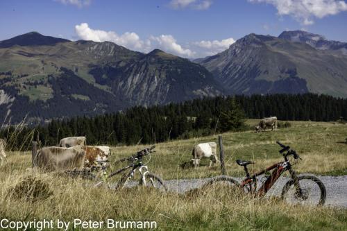 009-393RX100M3-02849