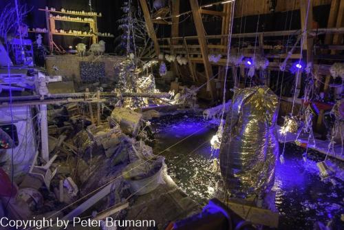 009-513RX100M3-09136