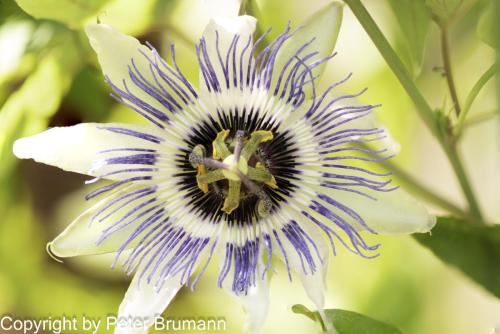 01-645aA99M2-09072-Bearbeitet