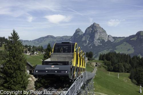 011-513RX100M3-08897