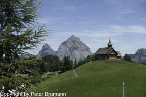 013-513RX100M3-08901