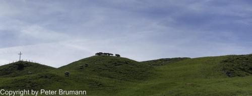 015-513RX100M3-08907