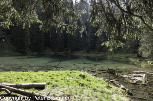 018-393RX100M3-02958