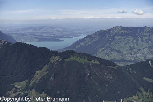 019-513RX100M3-08985