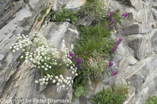 024-606aA99M2-9901819