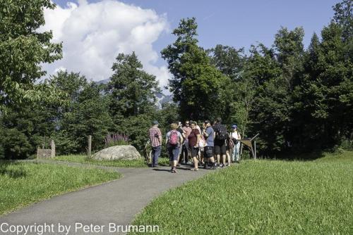 026-513RX100M3-09016