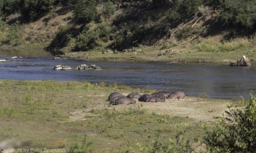 027-2005-2A99M2-07814