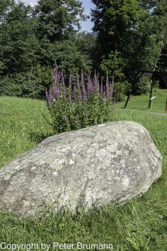 028-513RX100M3-09024