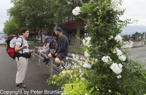 028-606aA99M2-9901845