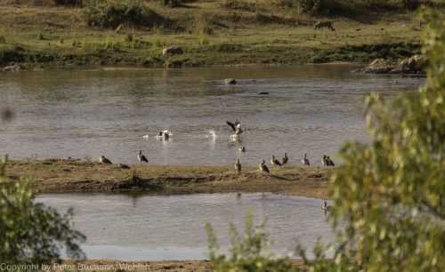 029-2005-2A99M2-07836