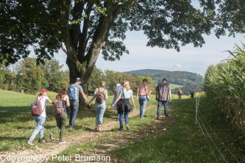 029-513RX100M3-08597