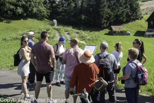 029-513RX100M3-09025