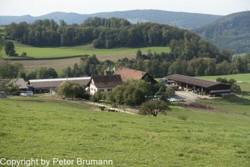 030-513RX100M3-08598