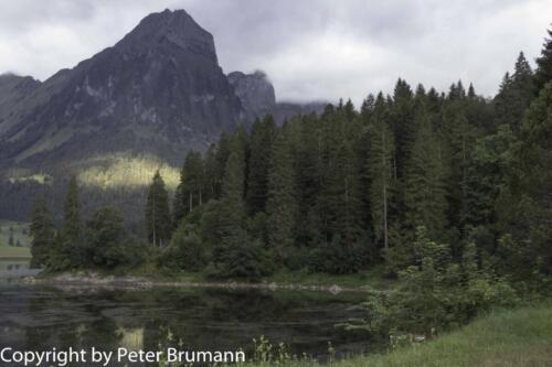 06-502PBR-RX100M3-01247