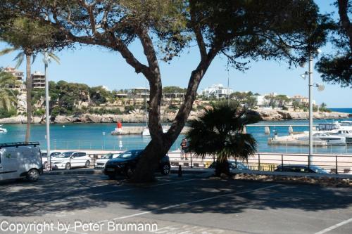 07-516-RX100M3-00802