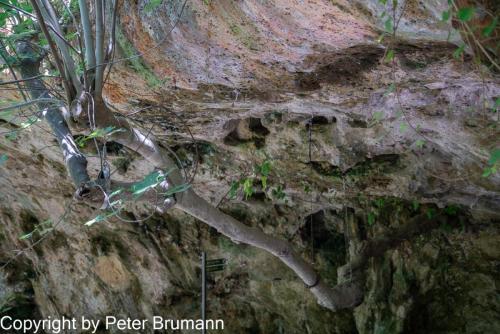 09-1001AQ99M2A-05228