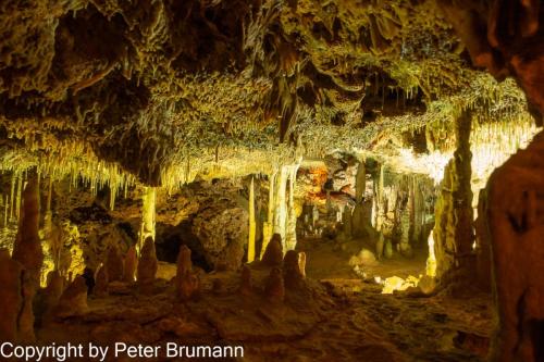 10-516-RX100M3-00824