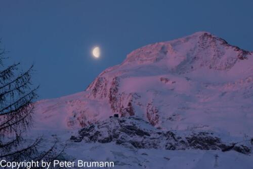 101  04 Feb 2010 4797