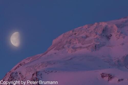 102  04 Feb 2010 4800