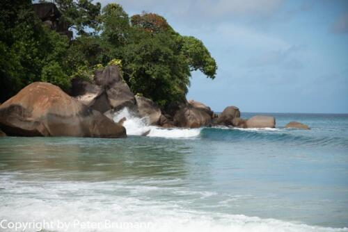 103  623aA99M2-01181