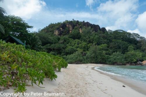 104  510RX100M3-06781